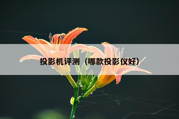 投影机评测（哪款投影仪好）