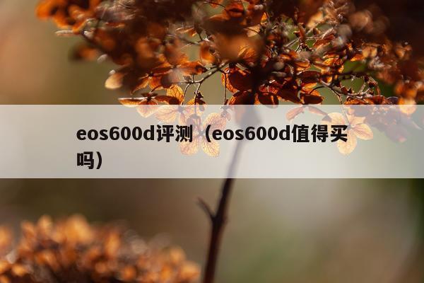 eos600d评测（eos600d值得买吗）