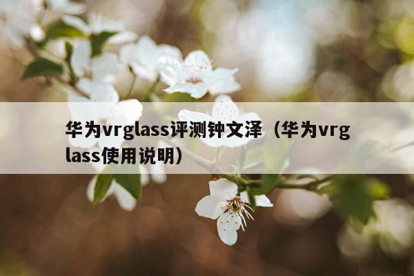 华为vrglass评测钟文泽（华为vrglass使用说明）