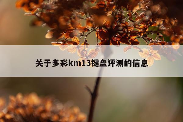 关于多彩km13键盘评测的信息