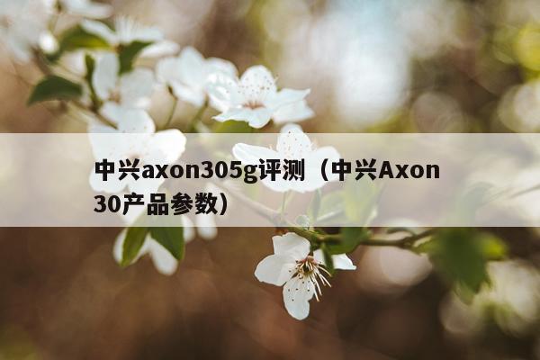 中兴axon305g评测（中兴Axon 30产品参数）