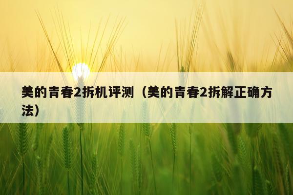 美的青春2拆机评测（美的青春2拆解正确方法）