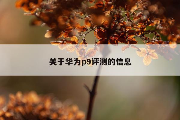 关于华为p9评测的信息