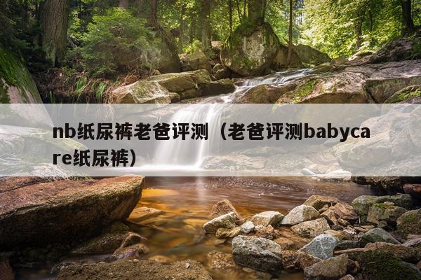 nb纸尿裤老爸评测（老爸评测babycare纸尿裤）
