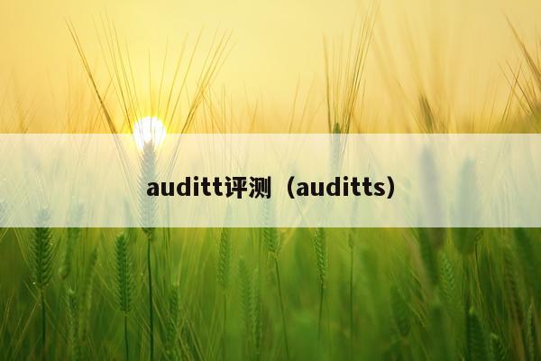 auditt评测（auditts）