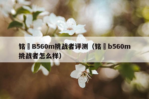 铭瑄B560m挑战者评测（铭瑄b560m挑战者怎么样）