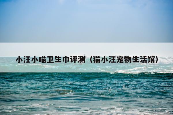 小汪小喵卫生巾评测（猫小汪宠物生活馆）