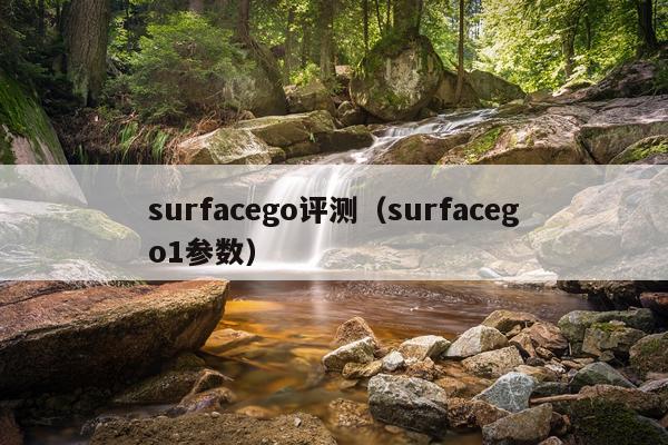 surfacego评测（surfacego1参数）