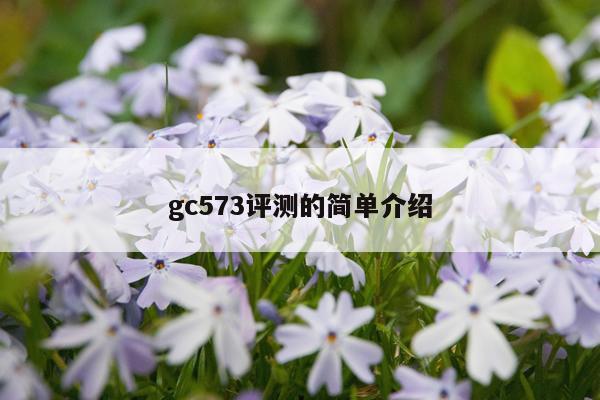 gc573评测的简单介绍