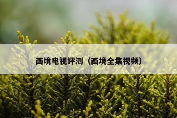 画境电视评测（画境全集视频）