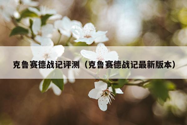 克鲁赛德战记评测（克鲁赛德战记最新版本）
