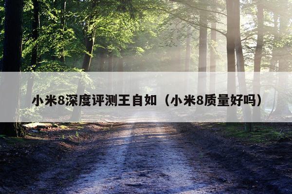 小米8深度评测王自如（小米8质量好吗）