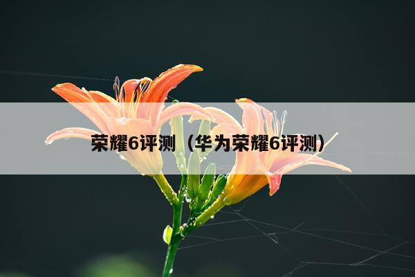 荣耀6评测（华为荣耀6评测）