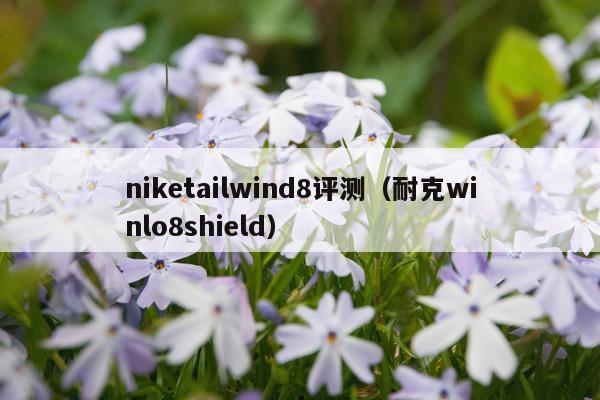 niketailwind8评测（耐克winlo8shield）