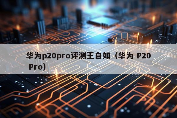 华为p20pro评测王自如（华为 P20 Pro）