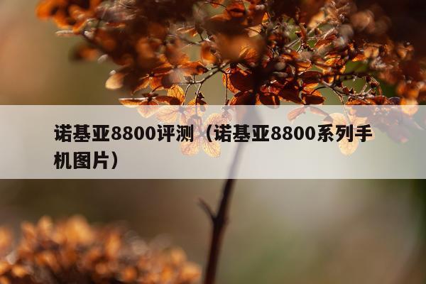 诺基亚8800评测（诺基亚8800系列手机图片）