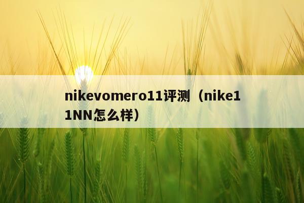 nikevomero11评测（nike11NN怎么样）