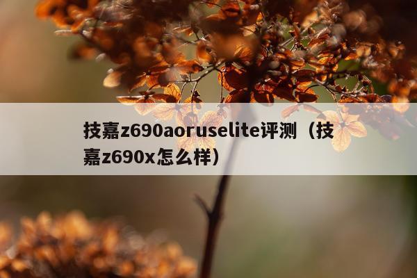 技嘉z690aoruselite评测（技嘉z690x怎么样）