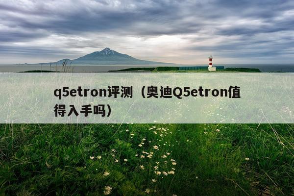 q5etron评测（奥迪Q5etron值得入手吗）