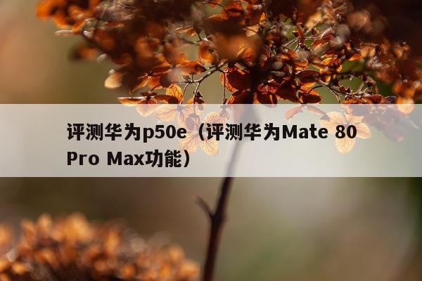 评测华为p50e（评测华为Mate 80Pro Max功能）