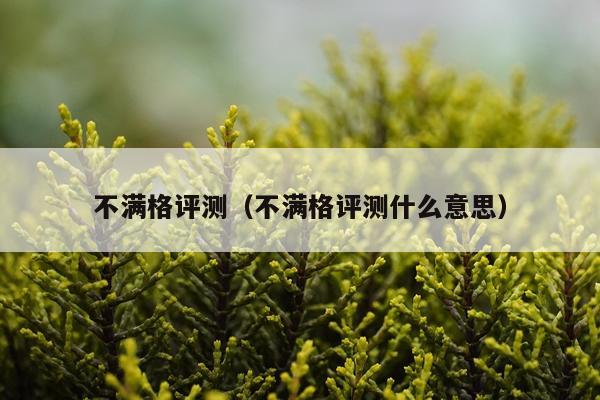 不满格评测（不满格评测什么意思）