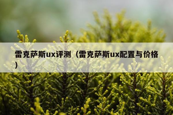 雷克萨斯ux评测（雷克萨斯ux配置与价格）