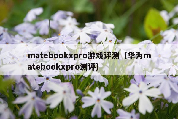 matebookxpro游戏评测（华为matebookxpro测评）