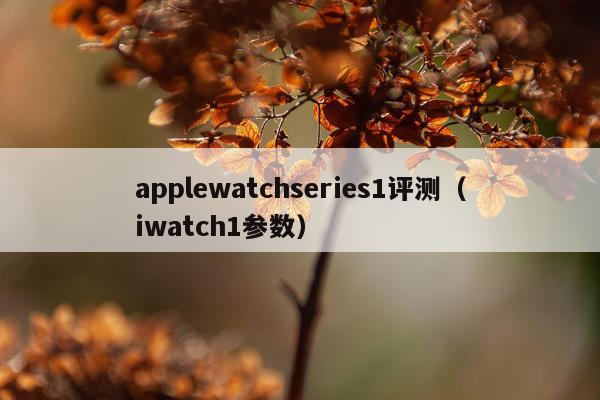 applewatchseries1评测（iwatch1参数）