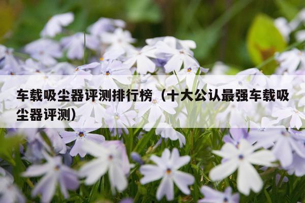 车载吸尘器评测排行榜（十大公认最强车载吸尘器评测）