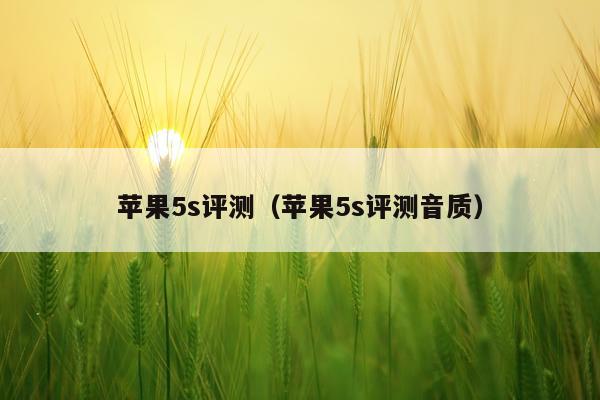 苹果5s评测（苹果5s评测音质）