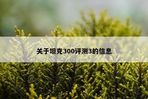 关于坦克300评测3的信息