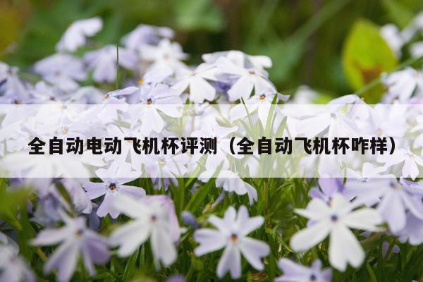 全自动电动飞机杯评测（全自动飞机杯咋样）