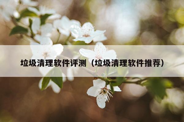 垃圾清理软件评测（垃圾清理软件推荐）