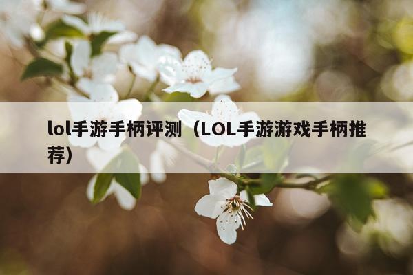 lol手游手柄评测（LOL手游游戏手柄推荐）