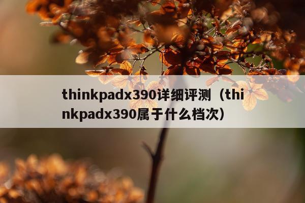 thinkpadx390详细评测（thinkpadx390属于什么档次）