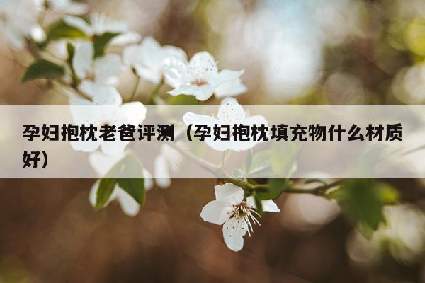 孕妇抱枕老爸评测（孕妇抱枕填充物什么材质好）