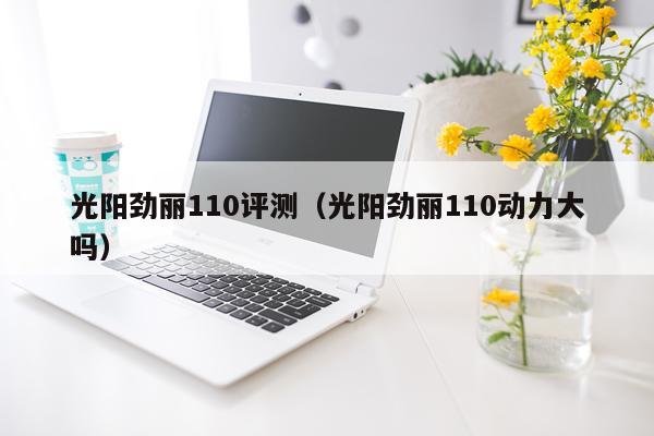 光阳劲丽110评测（光阳劲丽110动力大吗）