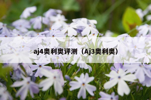 aj4奥利奥评测（Aj3奥利奥）
