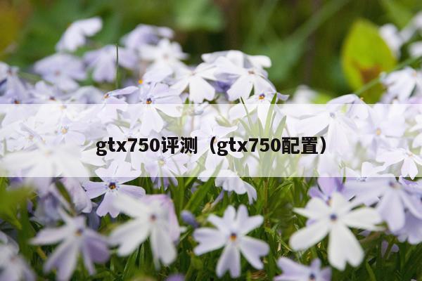 gtx750评测（gtx750配置）