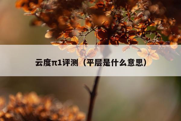 云度π1评测（平层是什么意思）