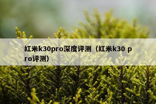红米k30pro深度评测（红米k30 pro评测）