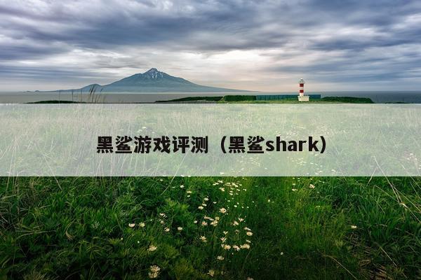 黑鲨游戏评测（黑鲨shark）