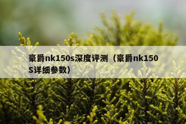 豪爵nk150s深度评测（豪爵nk150S详细参数）