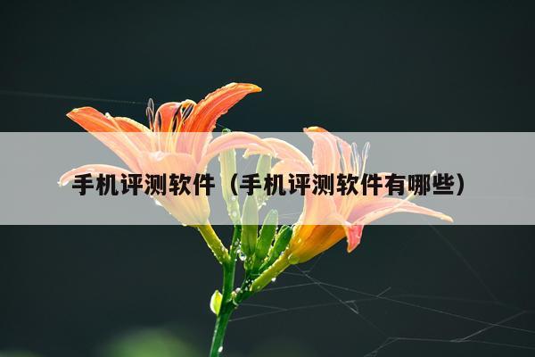 手机评测软件（手机评测软件有哪些）