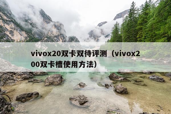 vivox20双卡双待评测（vivox200双卡槽使用方法）