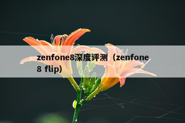 zenfone8深度评测（zenfone8 flip）