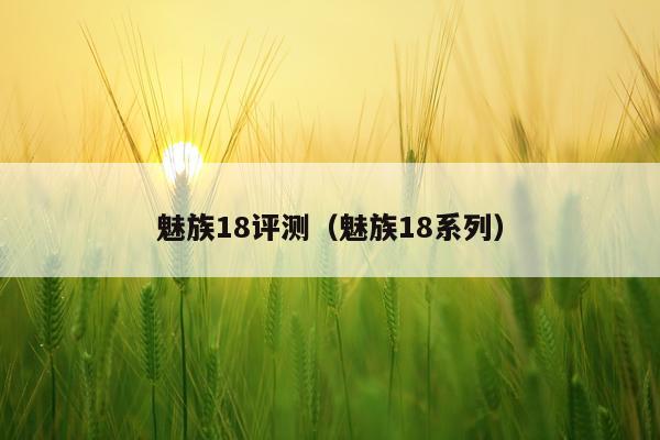 魅族18评测（魅族18系列）