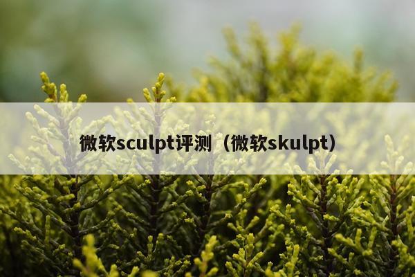 微软sculpt评测（微软skulpt）