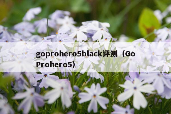 goprohero5black评测（GoProhero5）