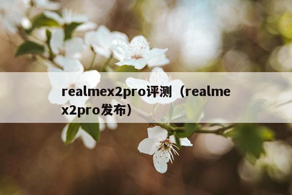 realmex2pro评测（realmex2pro发布）